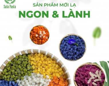 Top 5 thương hiệu nui rau củ ăn liền ngon nhất